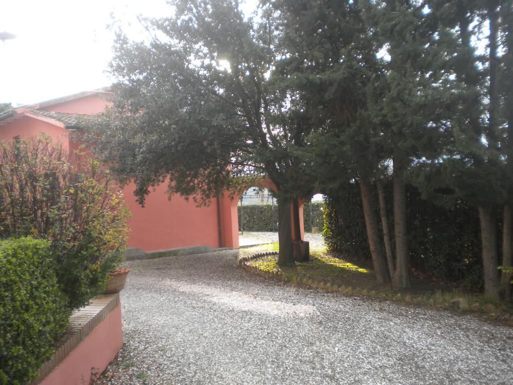 Podere Lo Stringaio Fauglia Chambre photo